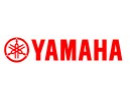 y1